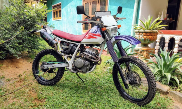 Honda rfvc 250 - Sells.lk